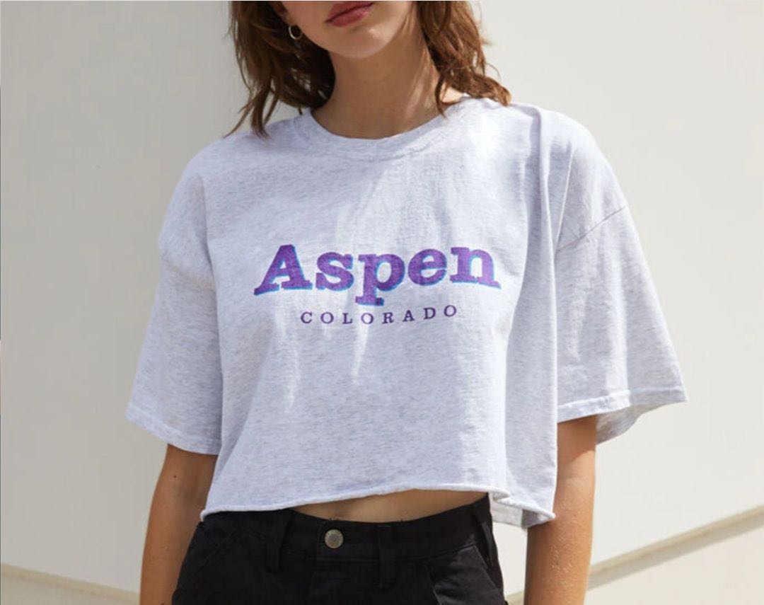 Brandy melville penelope aspen colorado crop top in light grey, Women's Fashion, Tops, Shirts on