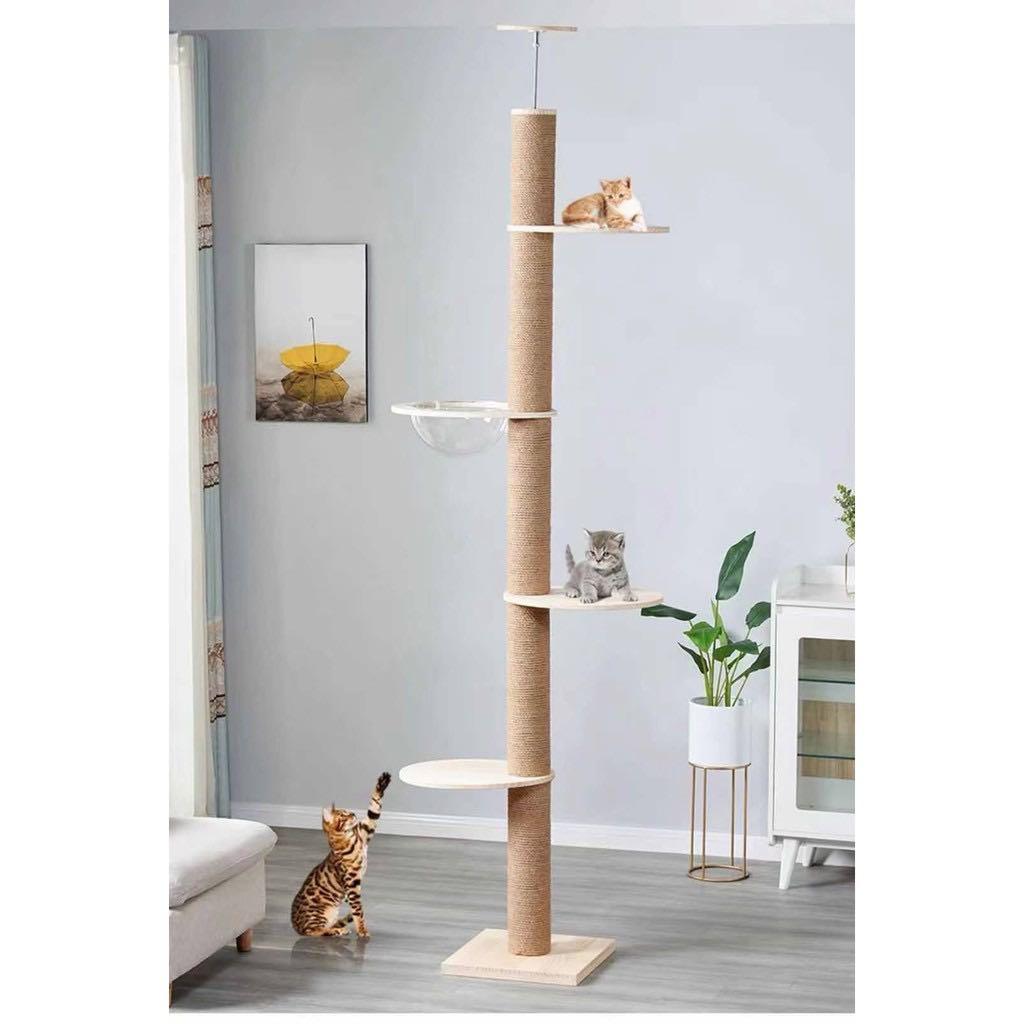 Diy floor to ceiling cat pole sales