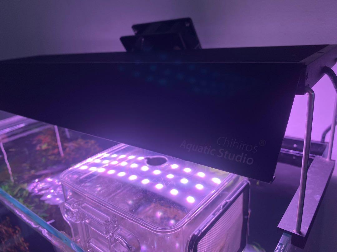 Chihiros WRGB2 60cm , Pet Supplies, Homes & Other Pet Accessories on ...