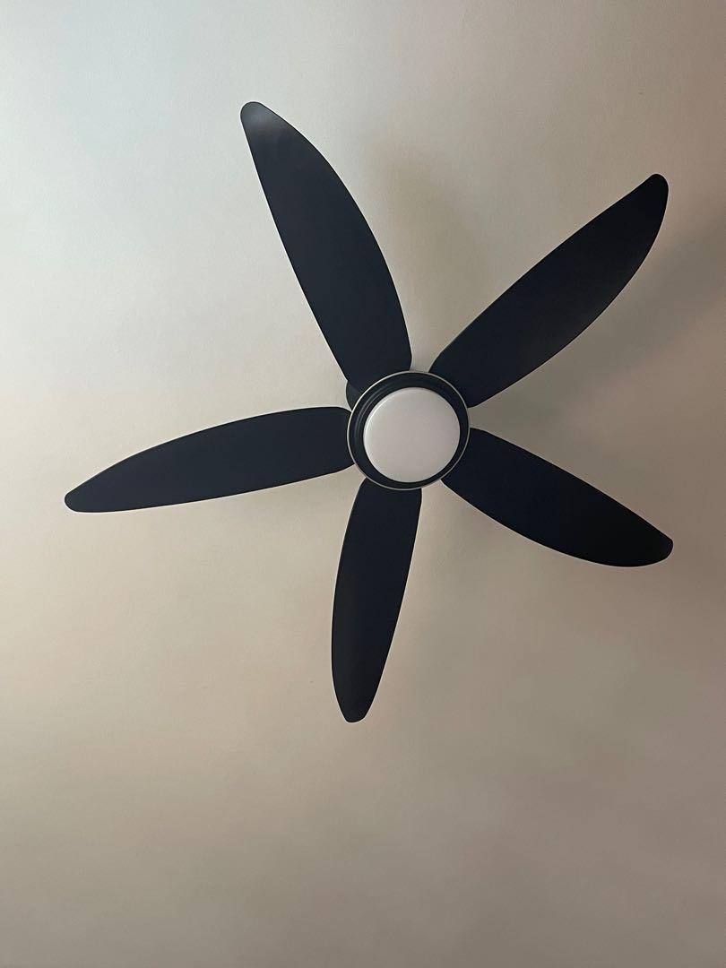 FANZ LED light fan with remote, Furniture & Home Living, Lighting & Fans, Fans on Carousell