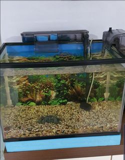 (Category: ) located in . Submitted by shenyao64 (Listing ID 1175792193, Image 1). Description: .