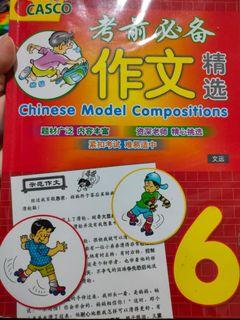 P6 Chinese