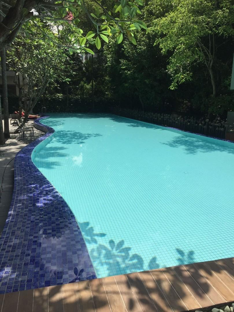 the Callista, Property, Rentals, Room Rentals on Carousell