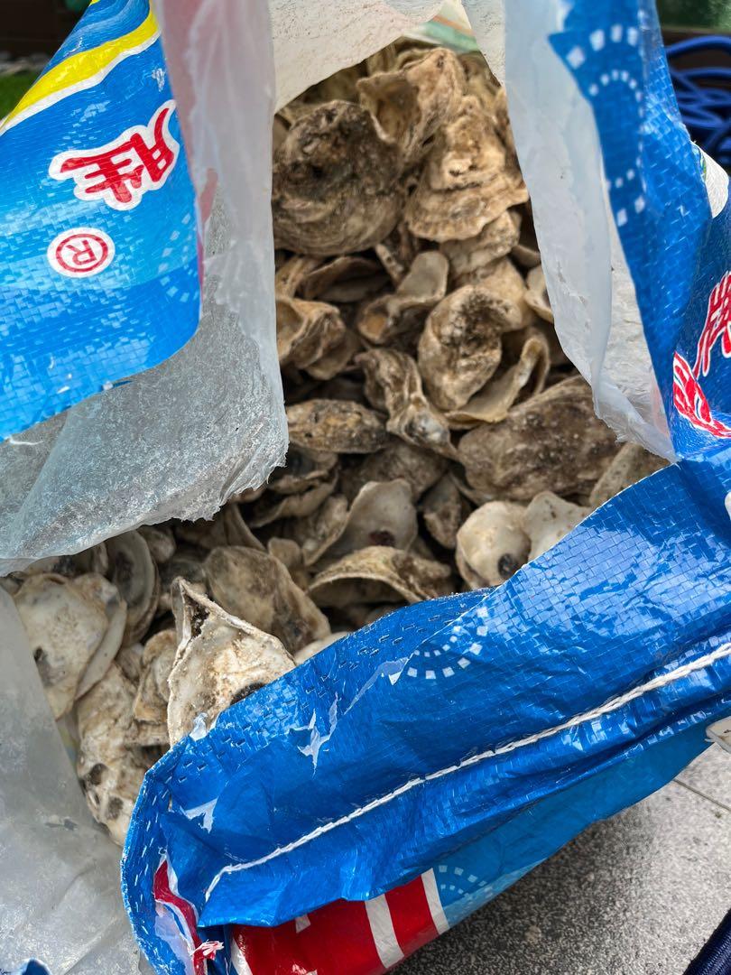 25kg of Oyster Shells for FGT and pond, Pet Supplies, Homes & Other Pet