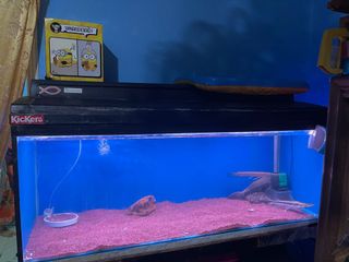 (Category: ) located in . Submitted by nabil_azri89 (Listing ID 1170480057, Image 1). Description: .