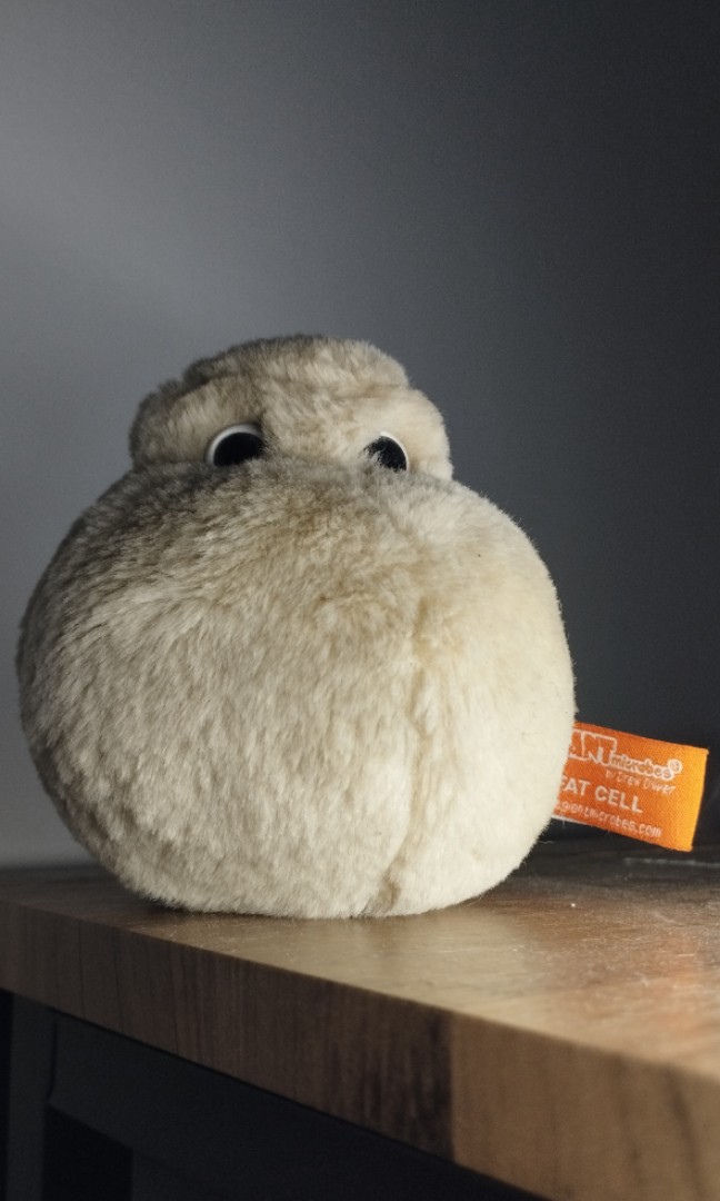 Fat cell plush outlet