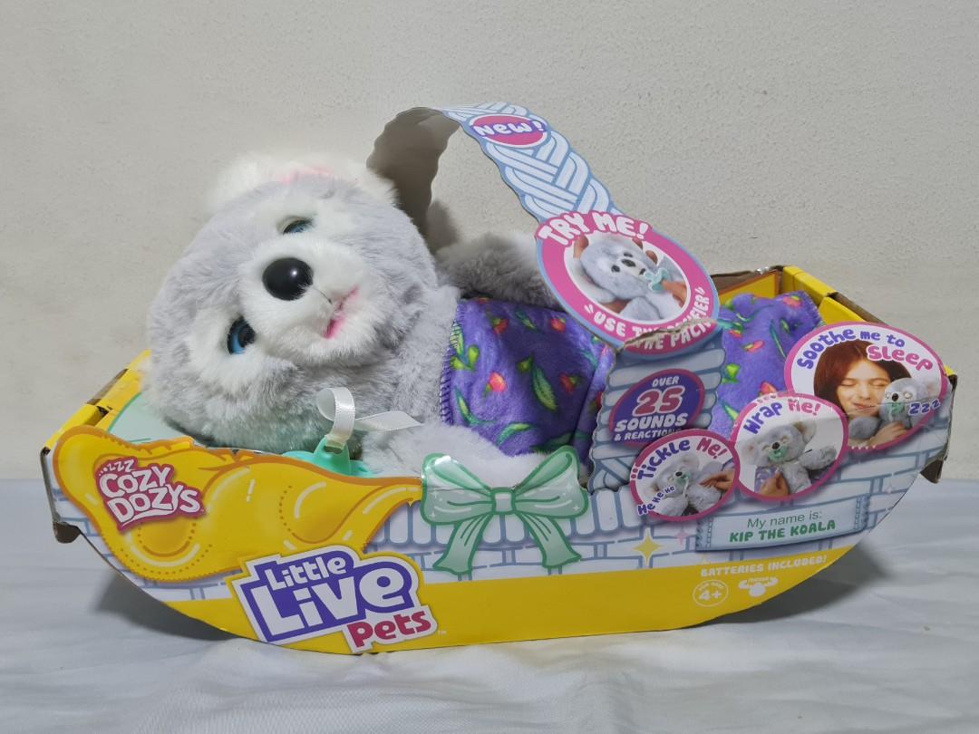 Cozy dozy hotsell bear big w