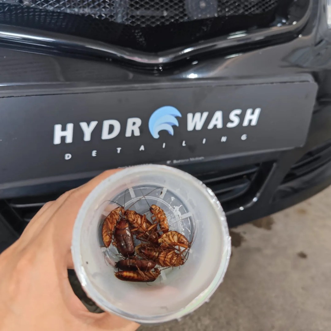 Car Fumigation, Pest control, kill, cockroaches, spider, lizards, bugs