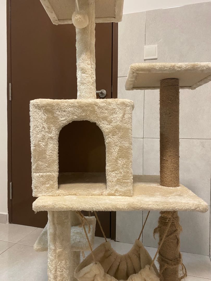 Cat Tree, Pet Supplies, Homes & Other Pet Accessories on Carousell