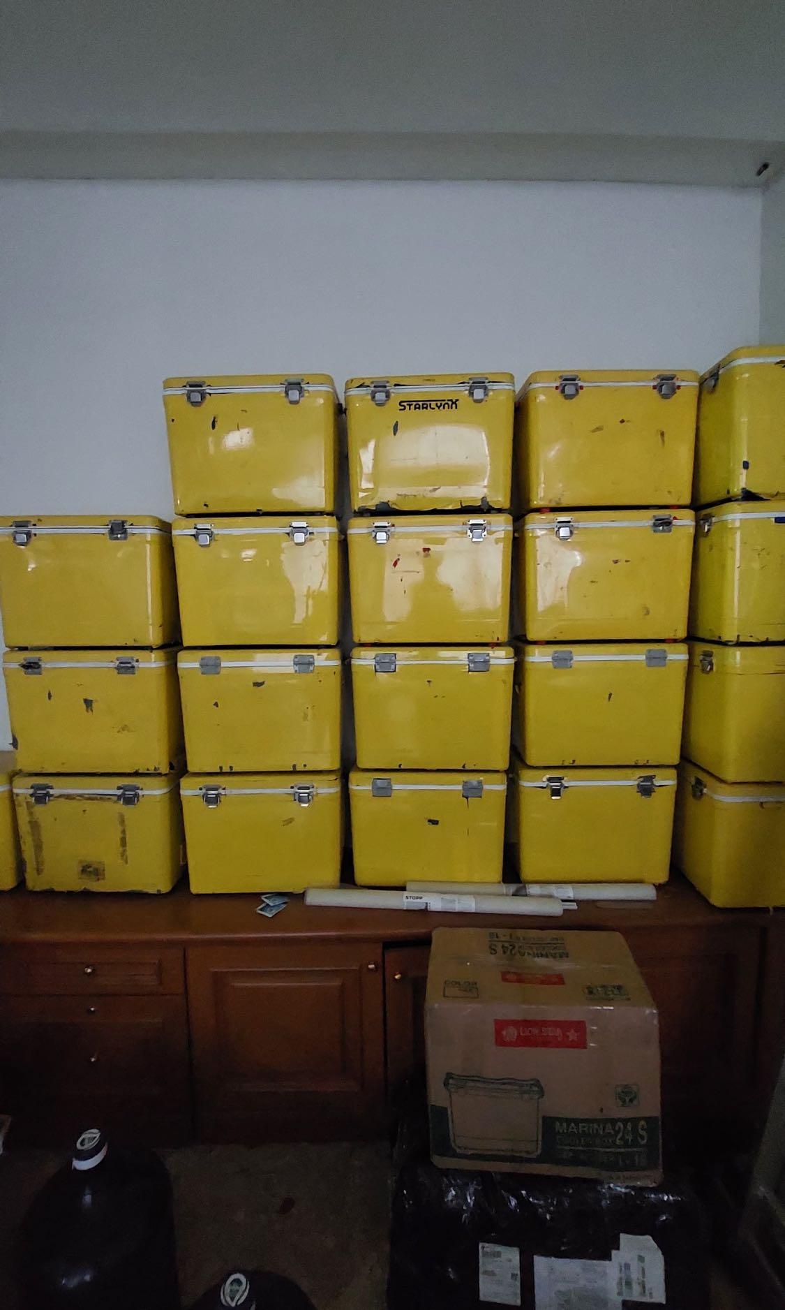 Cooler store box second