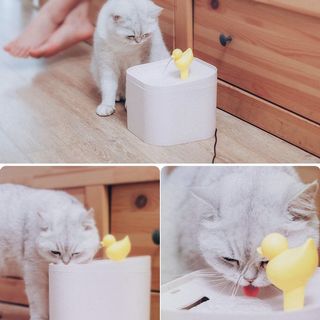 (Category: ) located in . Submitted by makingbread (Listing ID 1170636288, Image 1). Description: .
