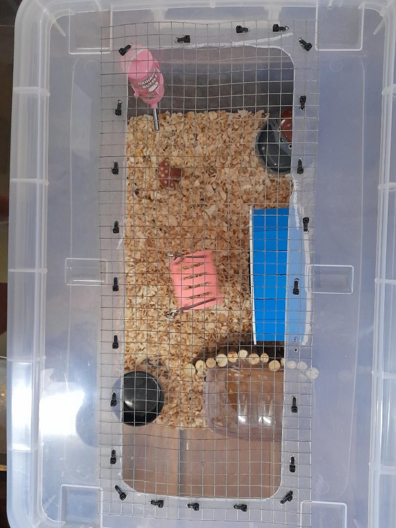 DIY Hamster Cage Sangkar Hamster DIY