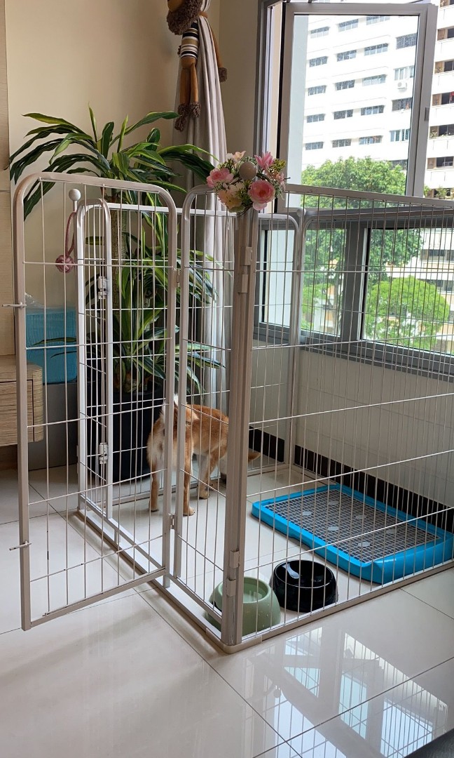 used large dog cages for sale