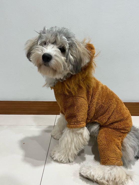 Doggo costume online