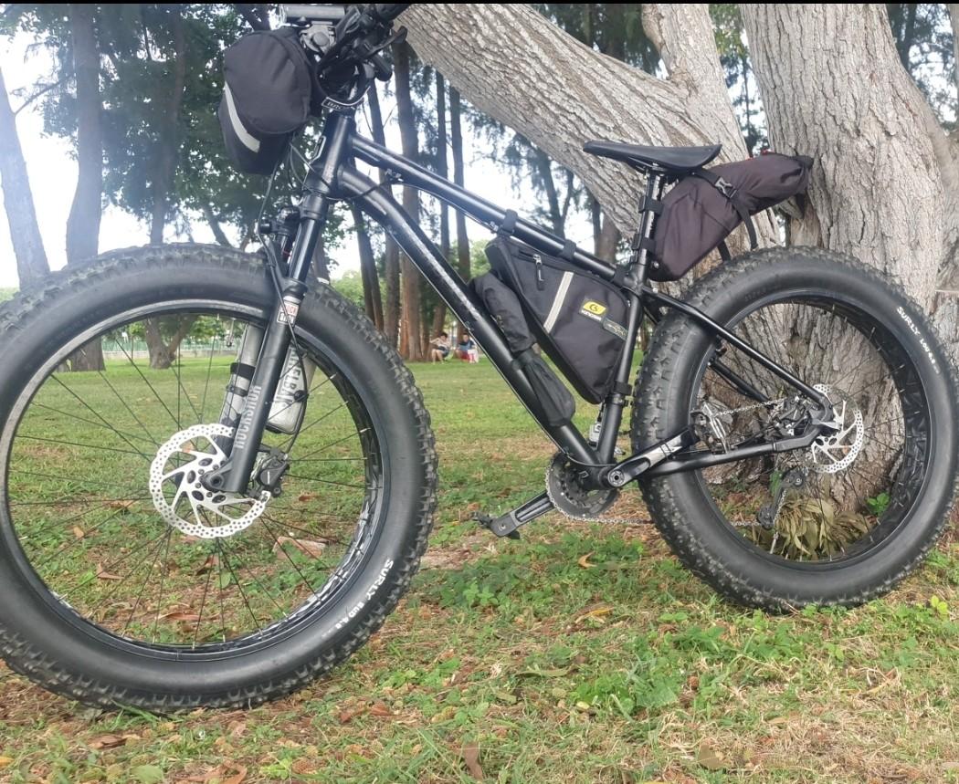 Mongoose argus expert online