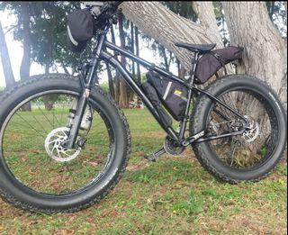 Fatbike mongoose argus expert model.