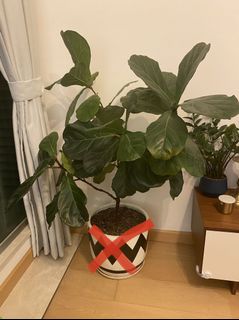 （分類：）位於 。 由 jarrod_t 提交（商品編號 1170633016，圖片 1）。簡介： 。