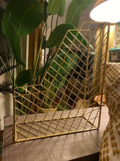 (Category: ) located in . Submitted by allvintage77 (Listing ID 1170615372, Image 1). Description: .