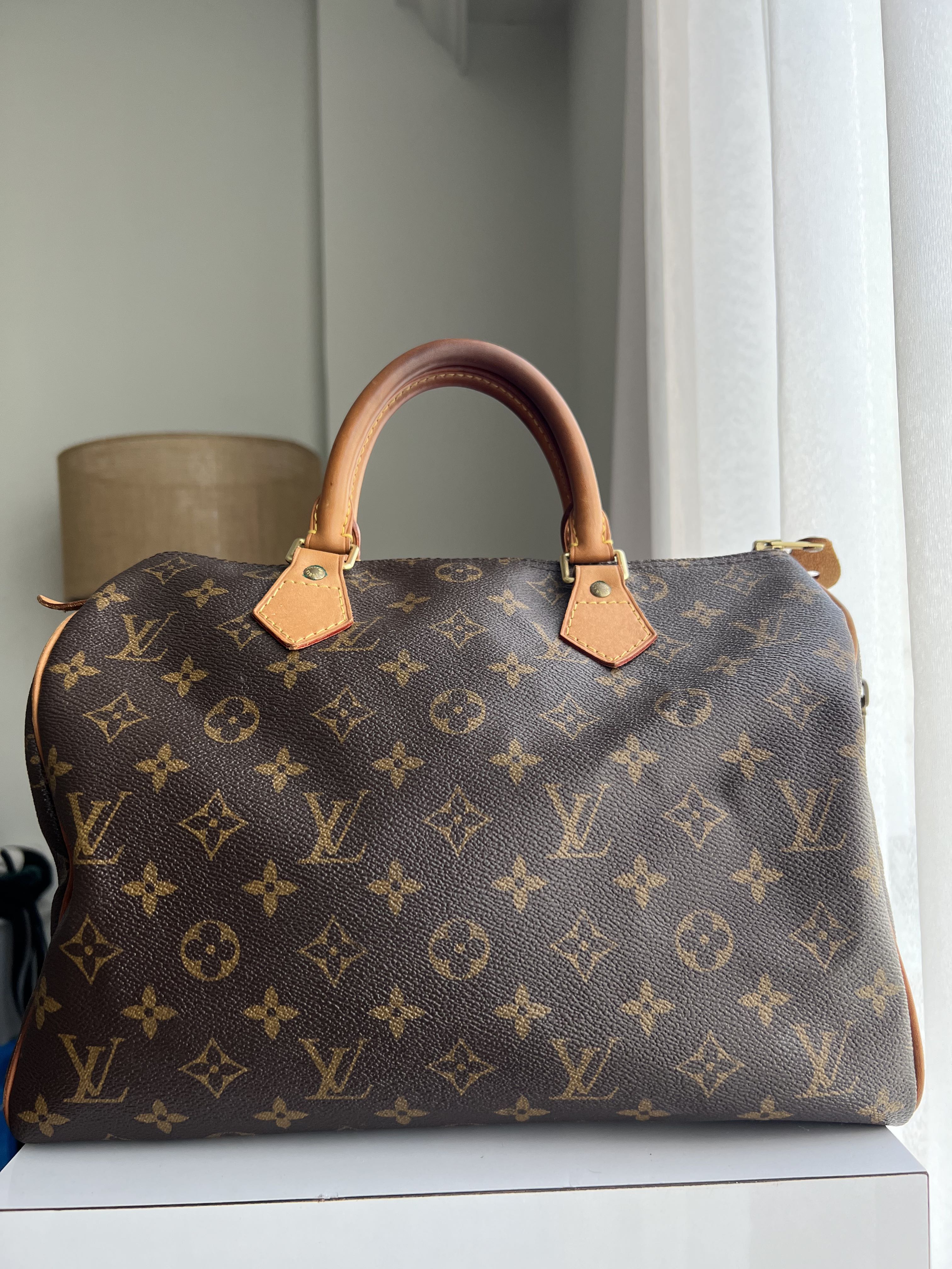 Louis Vuitton Speedy Collection Printemps-Ete 2010, Luxury, Bags & Wallets  on Carousell
