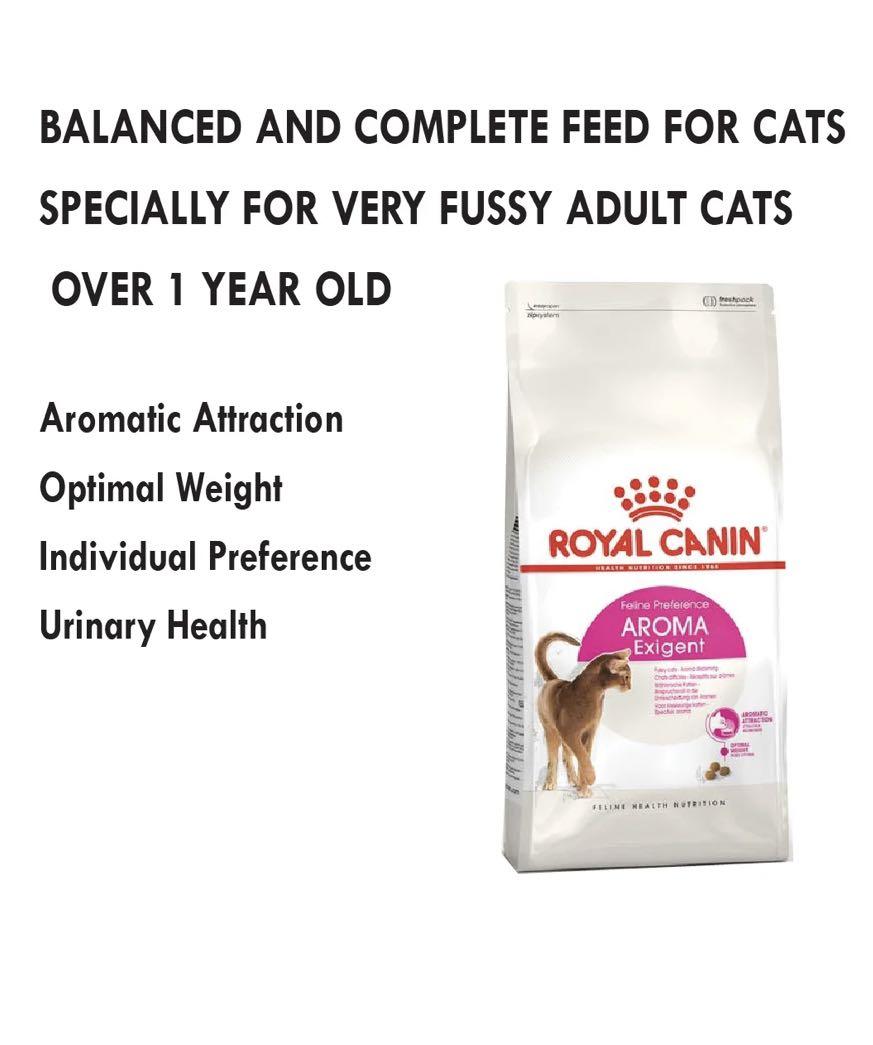Royal Canin Aroma Exigent 33 Pet Supplies Pet Food on Carousell