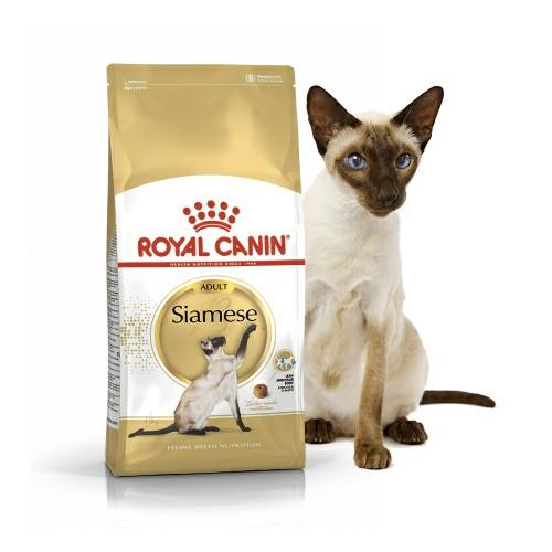 royal canin siamese cat food for sale