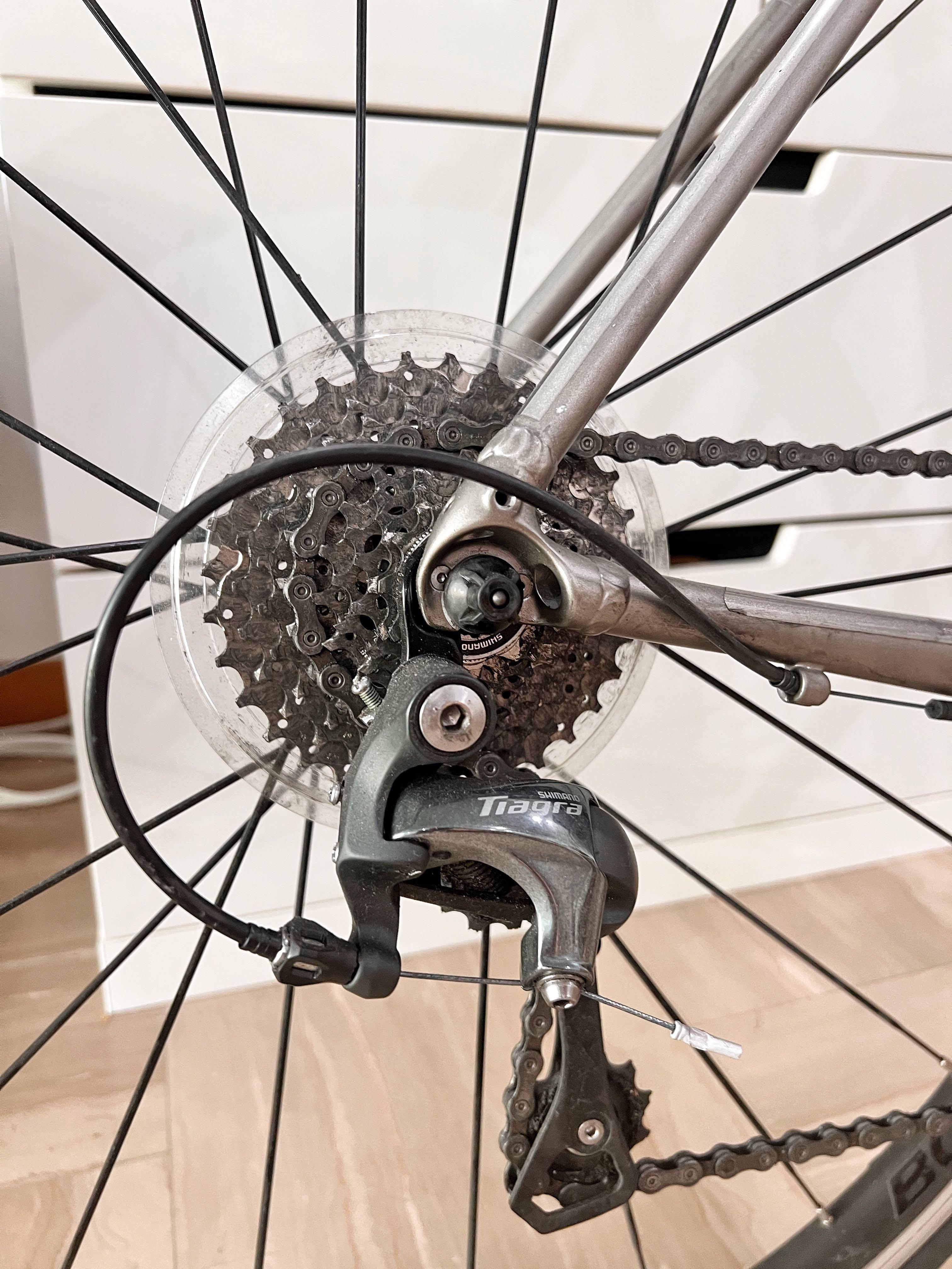 trek domane al4 2019