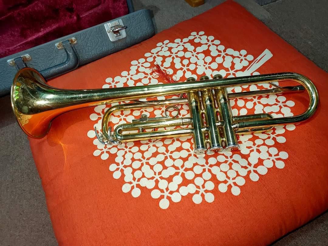 Yamaha YTR 235 Trumpet, Hobbies & Toys, Music & Media, Musical