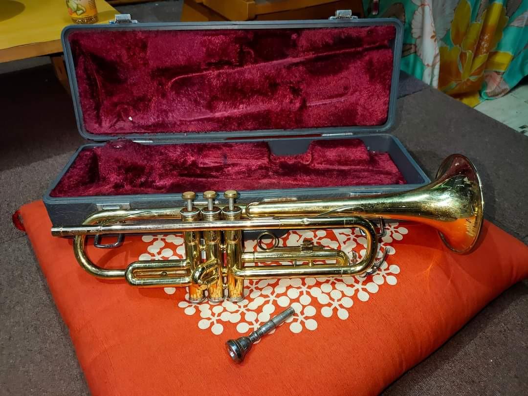 Yamaha YTR 235 Trumpet, Hobbies & Toys, Music & Media, Musical
