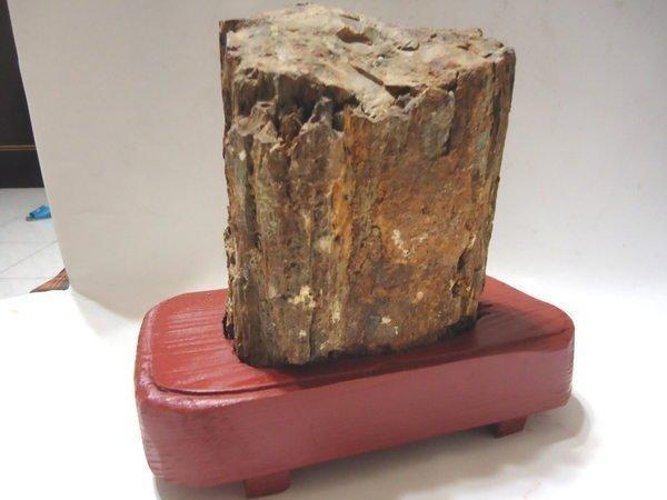 天地藝品( 石來運轉) 億年大型木化石( 附台灣檜木座) 原礦擺件