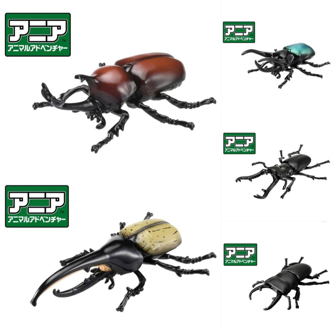 Ania Figure As 37 38 39 40 41 甲蟲 興趣及遊戲 玩具 遊戲類 Carousell