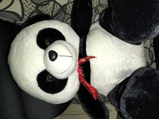 (Category: ) located in . Submitted by wonwoah (Listing ID 1170764578, Image 1). Description: .