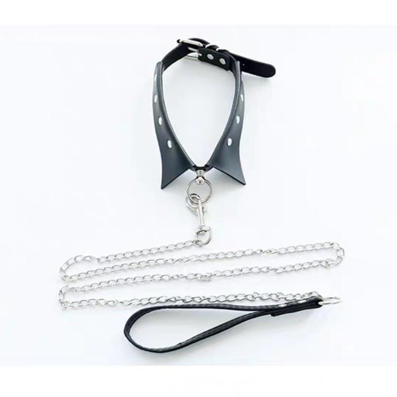 Choker and 2024 leash set