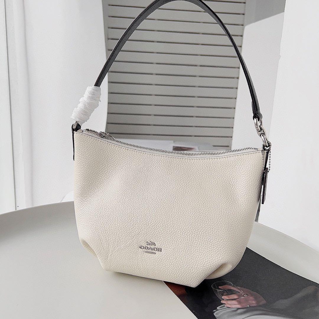 Coach Small Skylar Hobo Women s Fashion Bags Wallets Tote Bags on Carousell