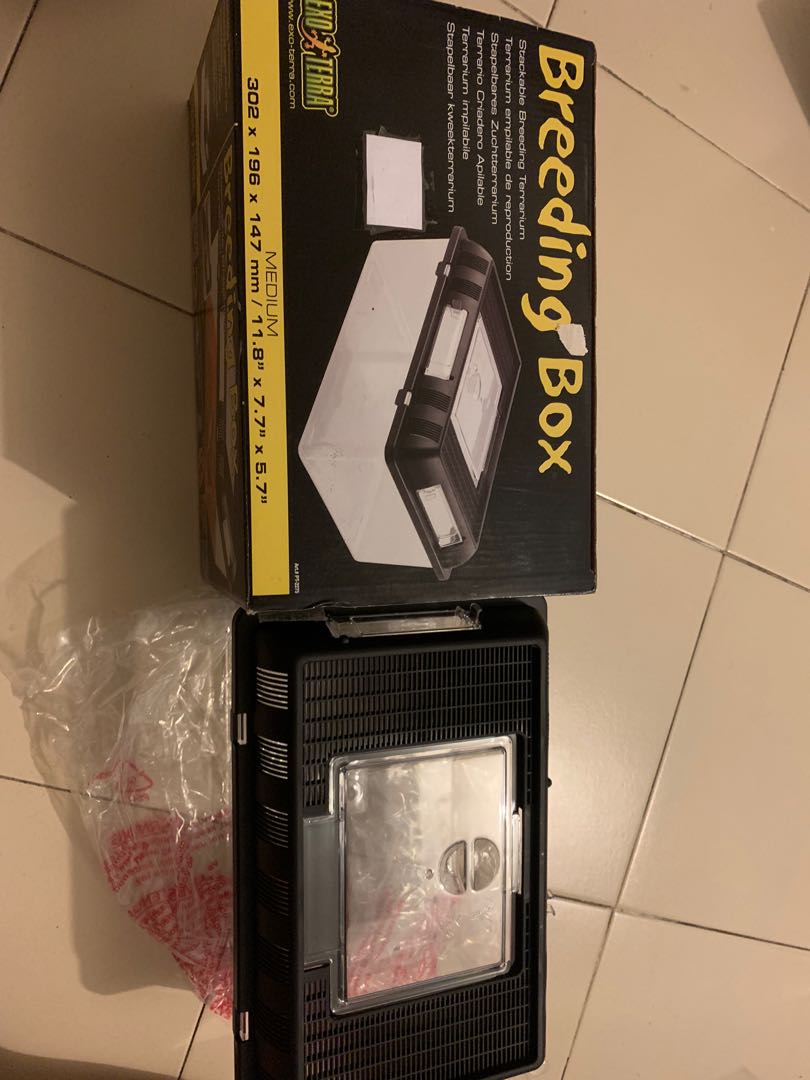 Exo Terra Breeding Box (Medium) PT 2275, Pet Supplies, Homes & Other