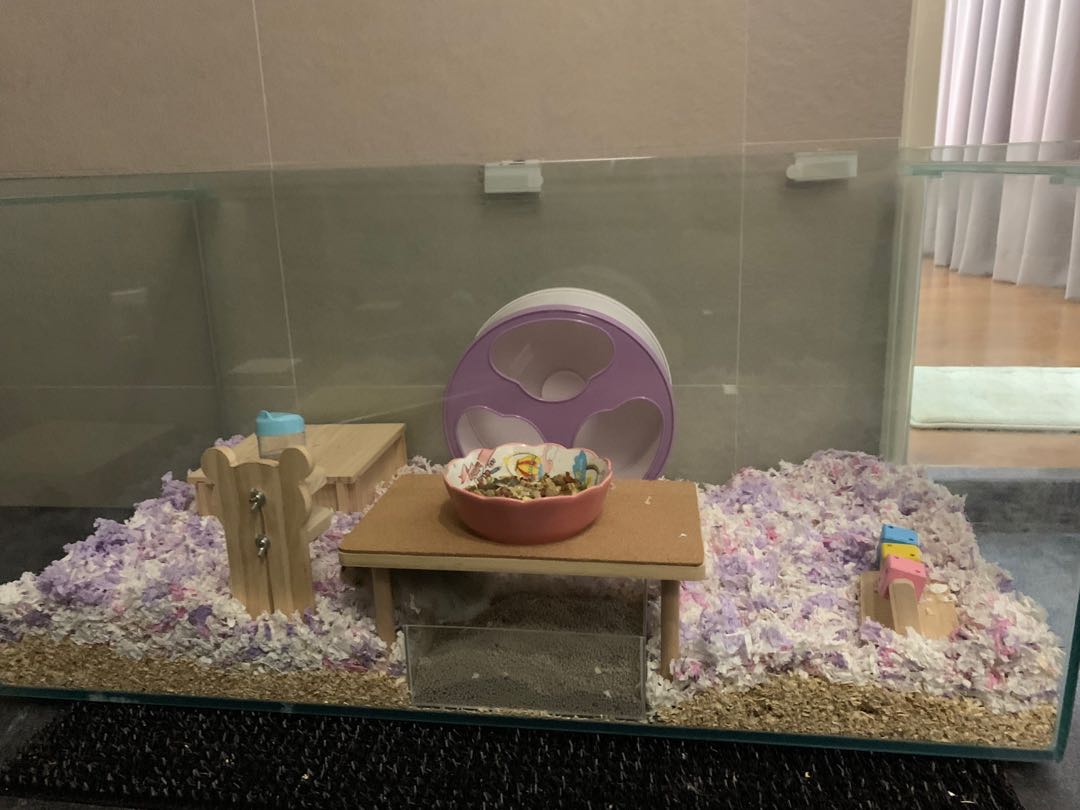 Hamster cage/ fish tank, Pet Supplies, Homes & Other Pet Accessories on