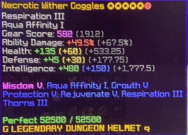 Hypixel Skyblock Hyper Maxed Mage Setup (Hyper Maxed Hyperion and Maxed