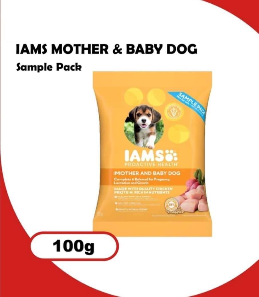 IAMS Adult Dog Food Sample Pack 100g, Pet Supplies, Pet Food on Carousell