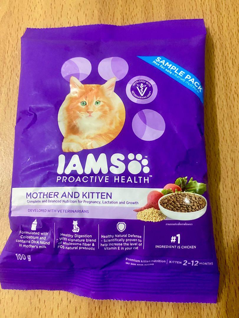 IAMS Cat Food Mother and Kitten Flavour 100g, Pet Supplies, Pet Food on