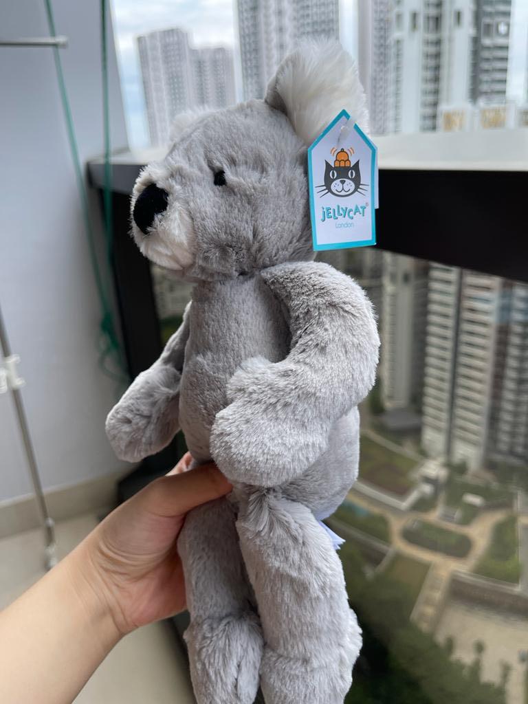 jellycat Benji Koala Small Hobbies Toys Toys Games on Carousell