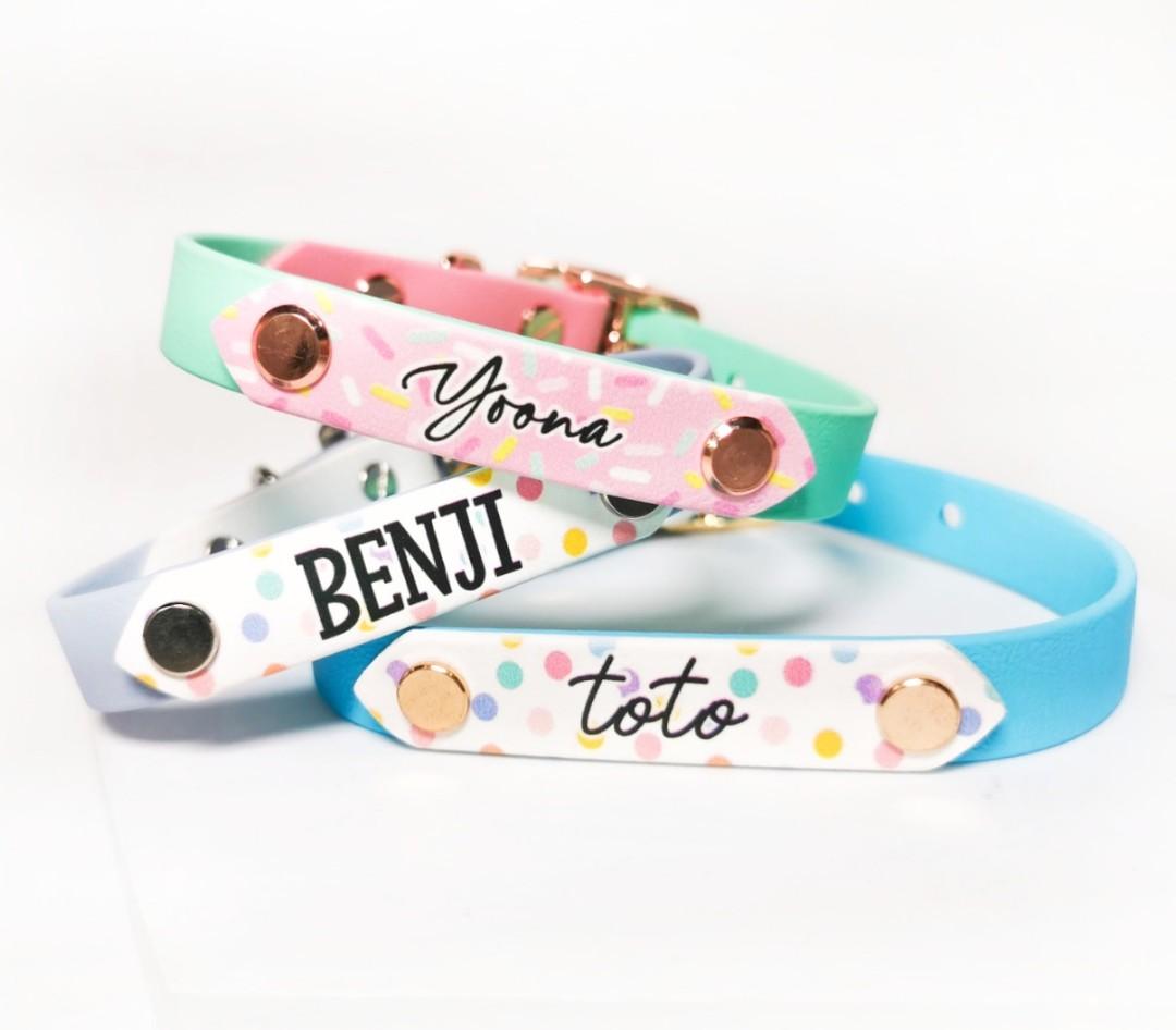 Dog collar deals printed name