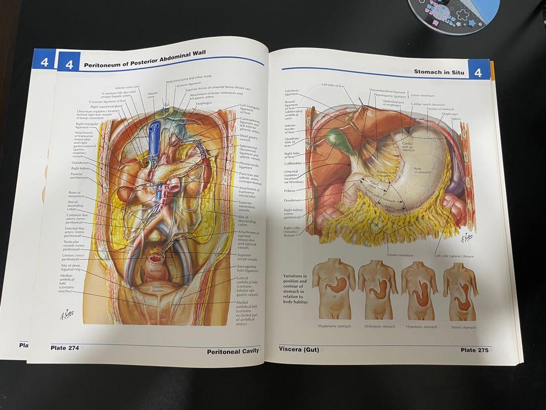 Netter Atlas of Human Anatomy 4th Edition, Hobbies & Toys, Books