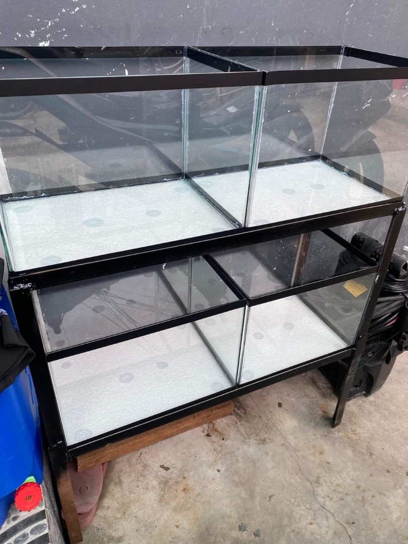 2 layers aquarium stand w/.4pcs 5gal. Aquarium, Pet Supplies, Homes