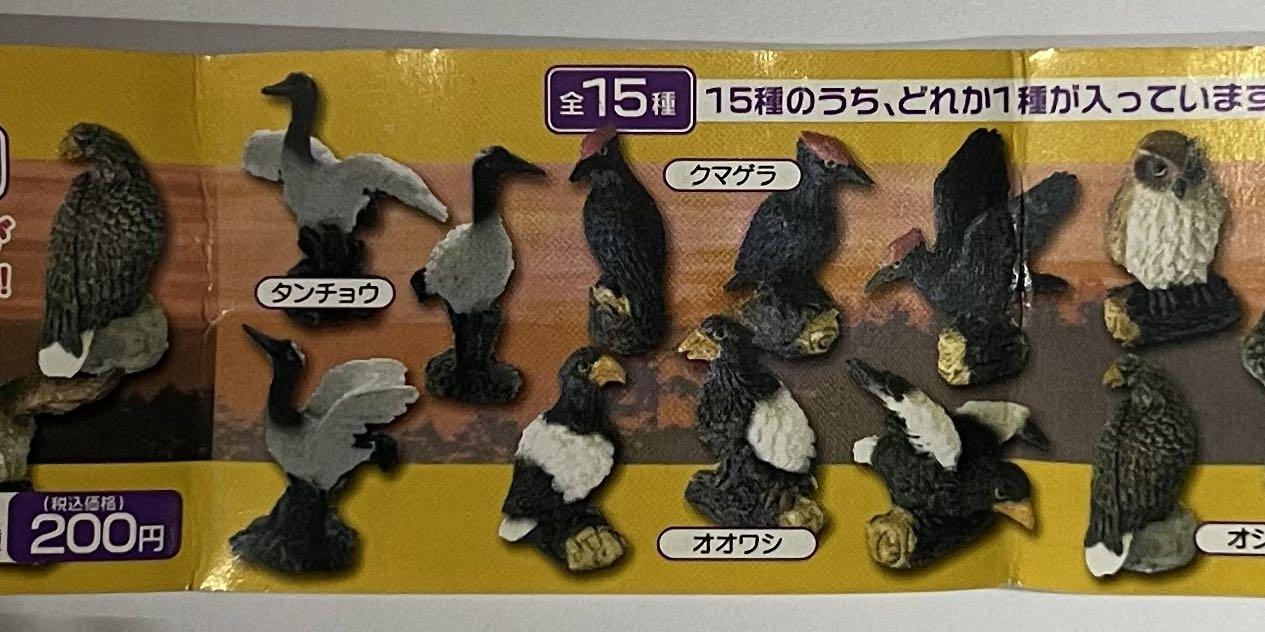 日本天然記念物鳥動物扭蛋全15種 興趣及遊戲 玩具 遊戲類 Carousell