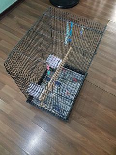 (Category: ) located in . Submitted by randr7877 (Listing ID 1170899455, Image 1). Description: .