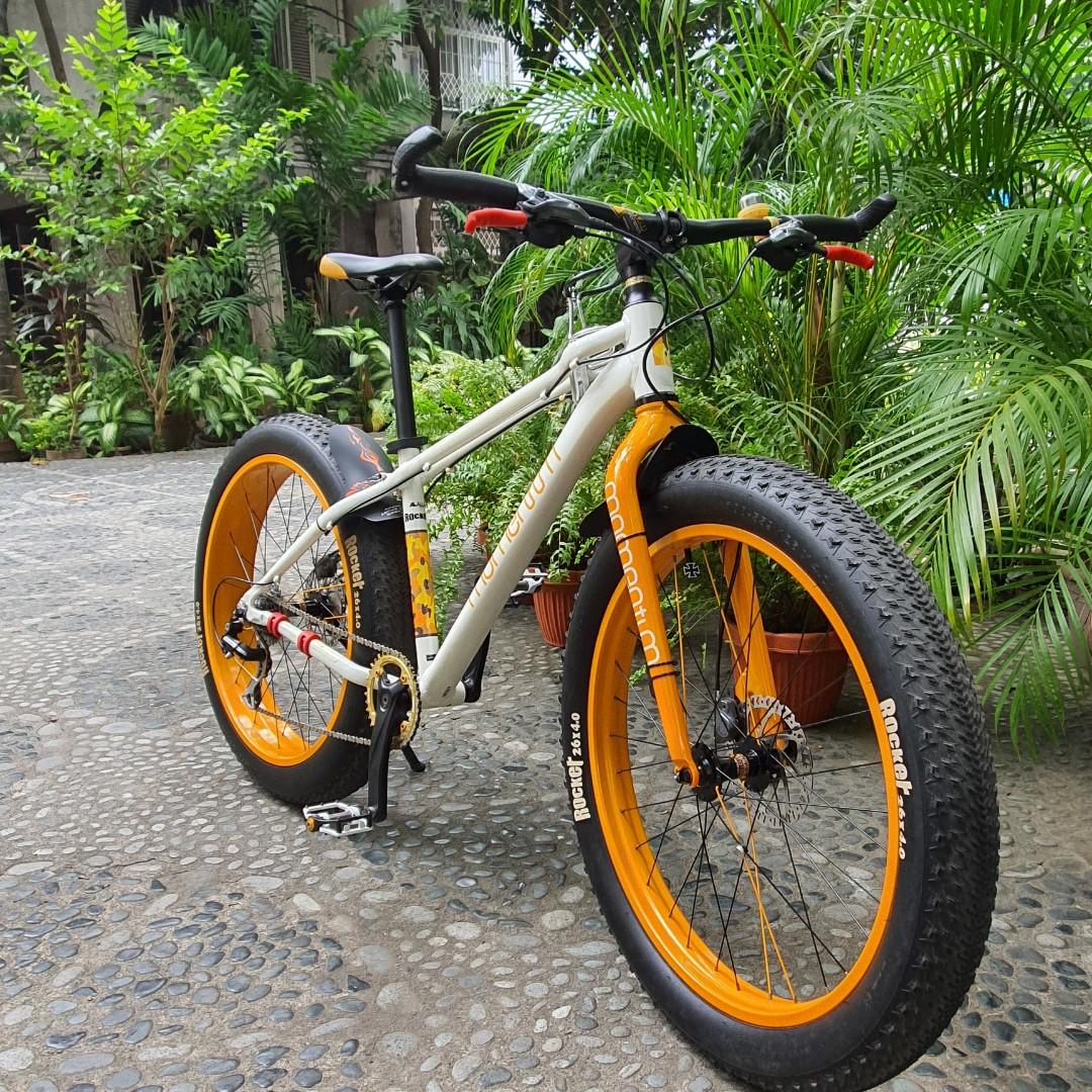 Giant momentum fat tire bike clearance