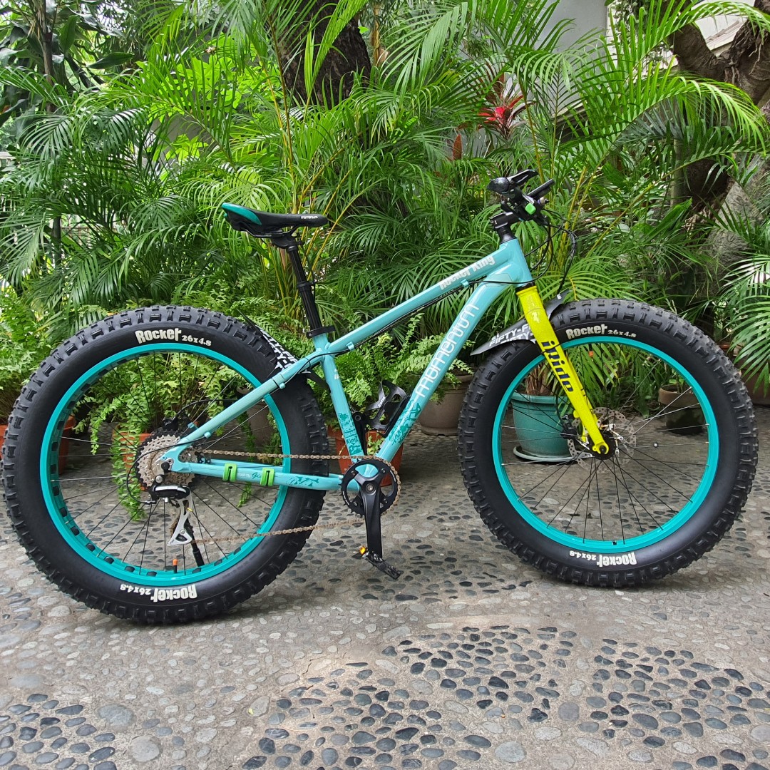 Giant momentum store fat bike