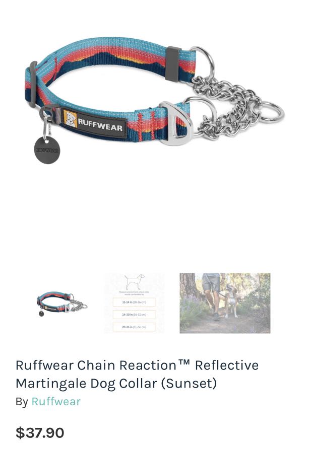 martingale collar wolfgang