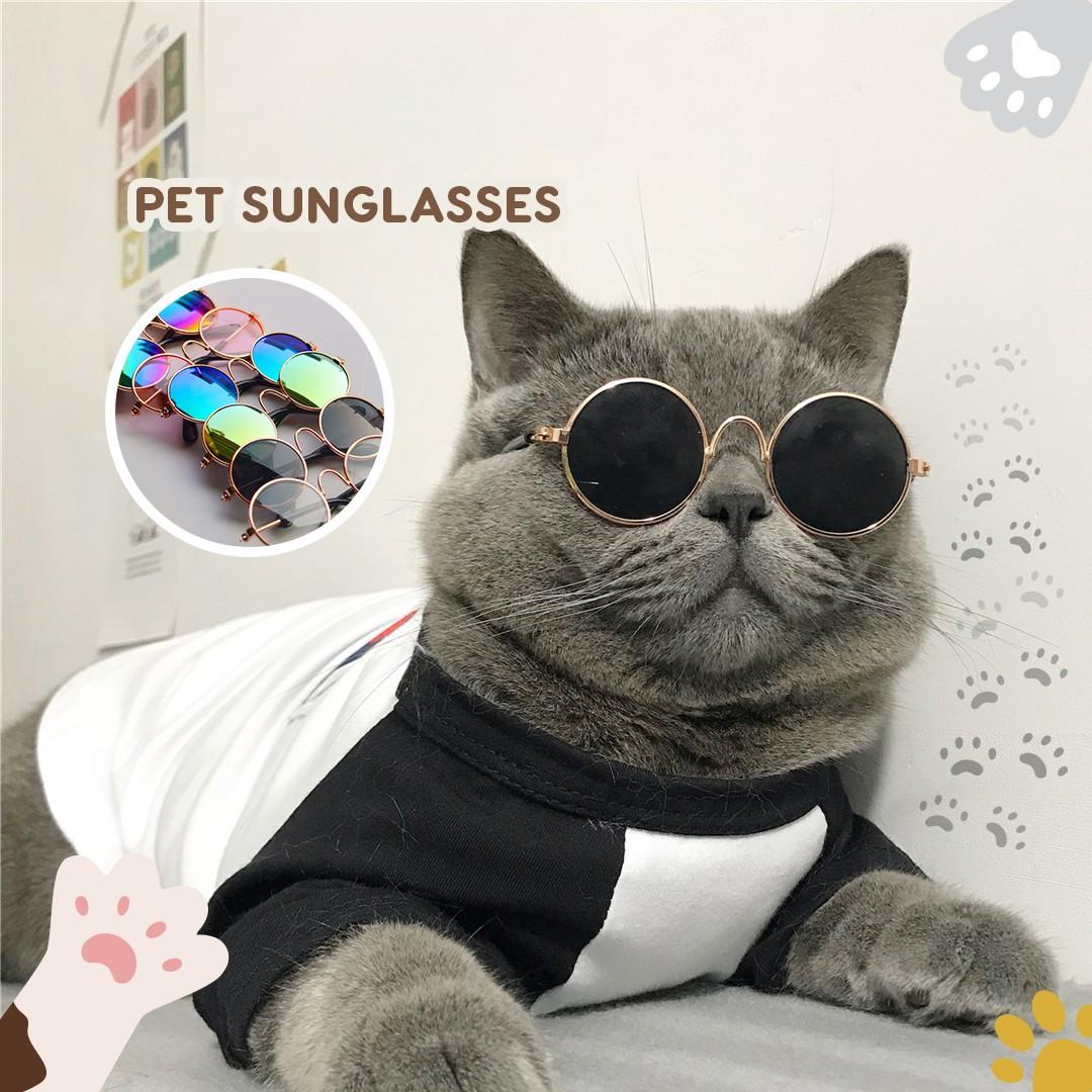 Cat fashion cheap accessories