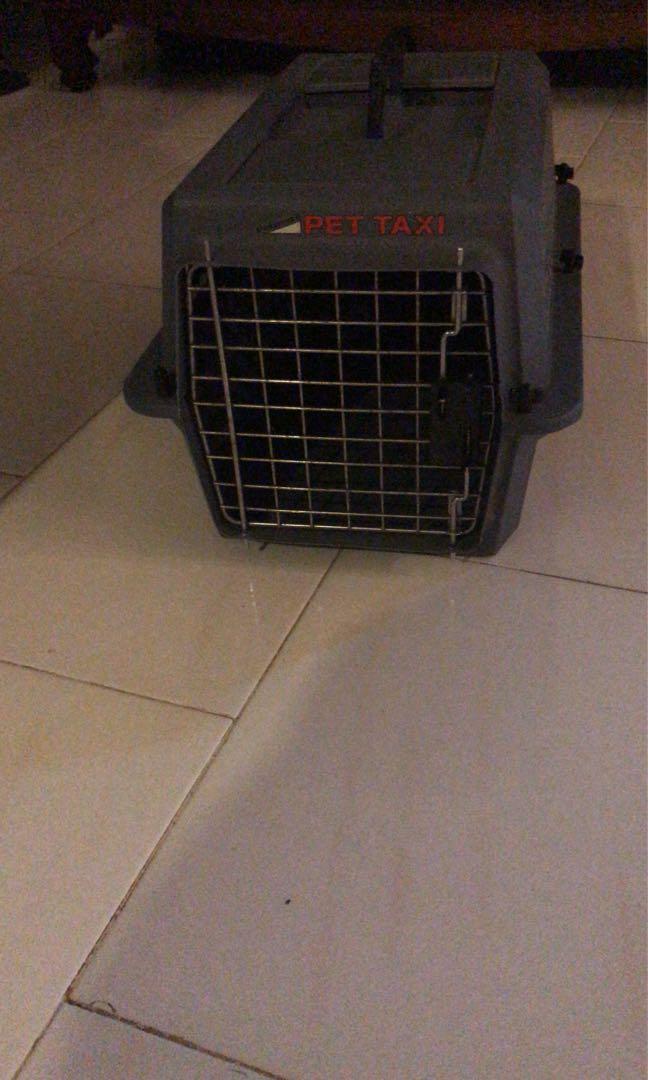 Petco hotsell pet taxi