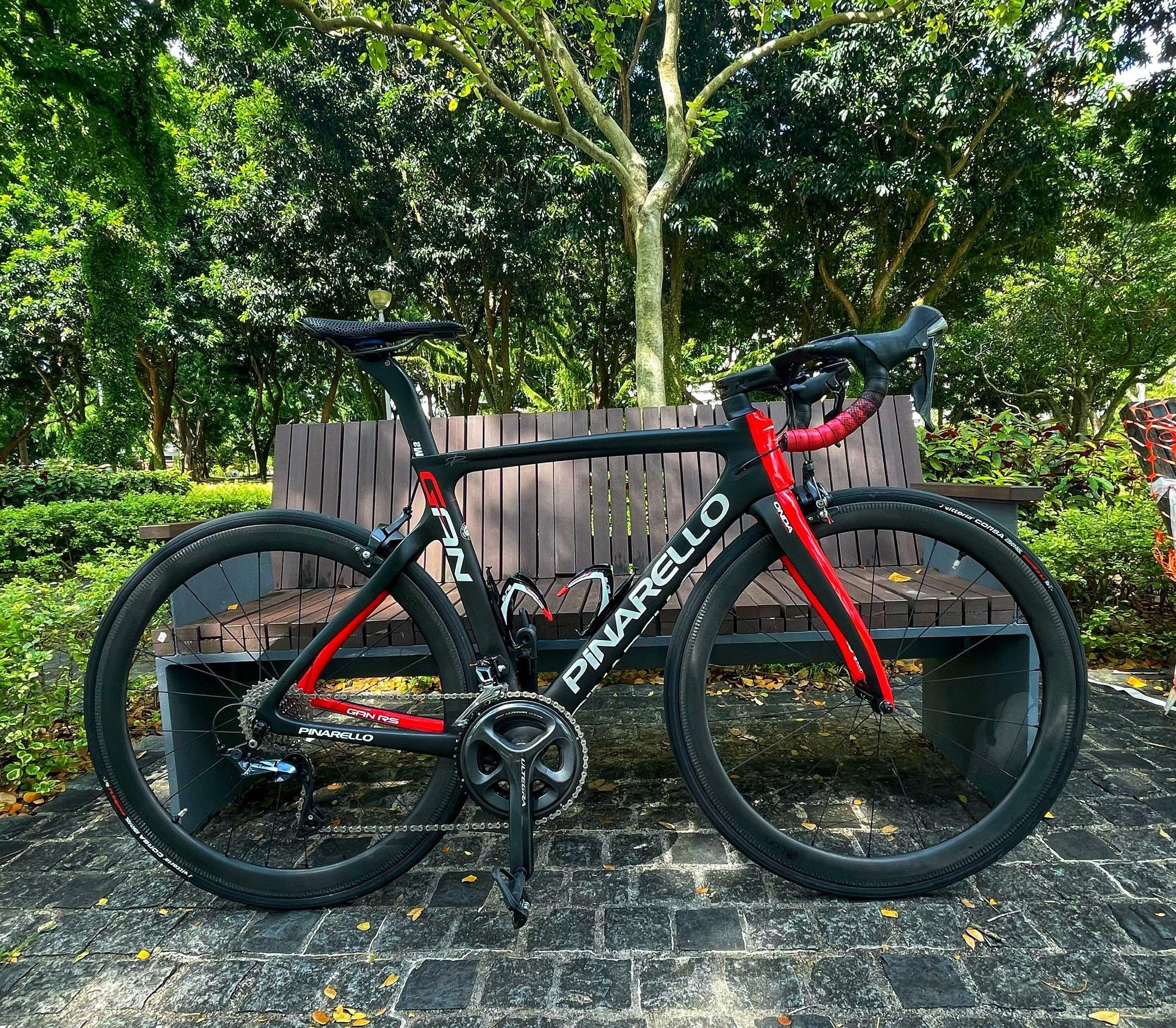 Pinarello gan 51.5 store
